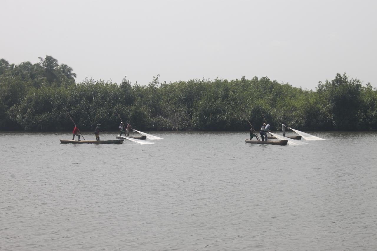 Natura Luxury Lodge Ouidah المظهر الخارجي الصورة